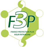 logo-F3P